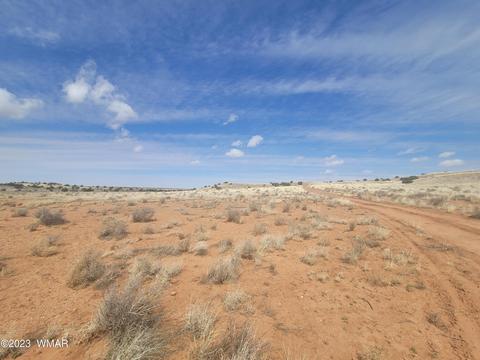 5446 Valley Rd, Snowflake, AZ 85937 photo 10