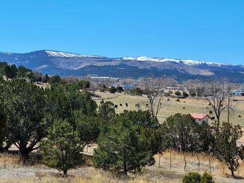 819 E First Ln, Eagar, AZ 85925 photo 3