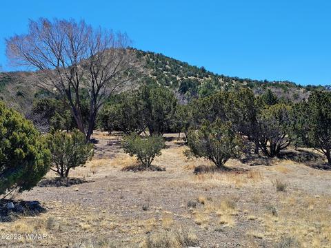 819 E First Ln, Eagar, AZ 85925