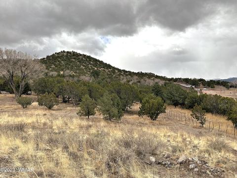 819 E First Ln, Eagar, AZ 85925 photo 7