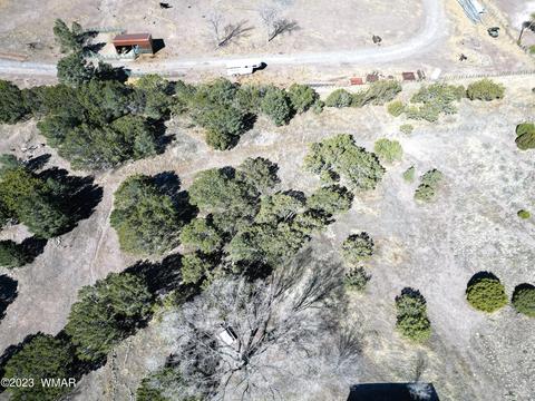 819 E First Ln, Eagar, AZ 85925 photo 2