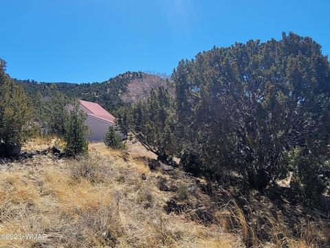 819 E First Ln, Eagar, AZ 85925 photo 5