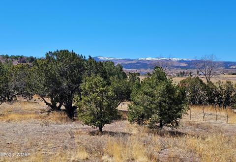 819 E First Ln, Eagar, AZ 85925 photo 6