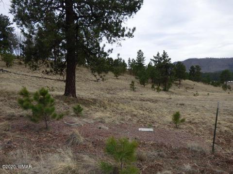 Lot 15 The Ranch At Alpine, Alpine, AZ 85920