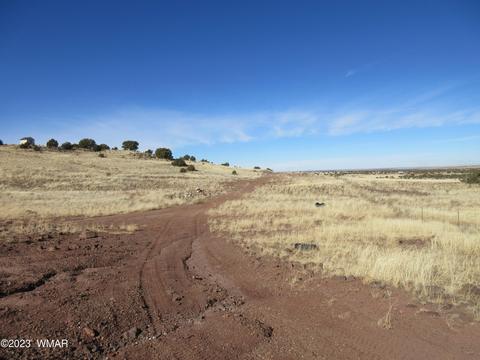 8541 Concho Dr, Concho, AZ 85924 photo 2