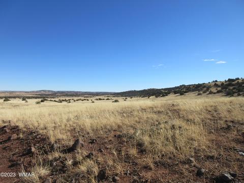 8541 Concho Dr, Concho, AZ 85924