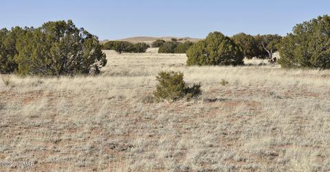 12 County Rd 9020, Concho, AZ 85924