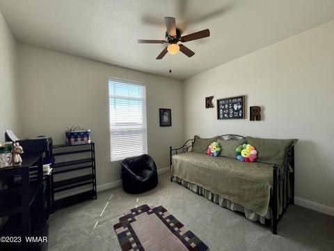 6268 Apache Trl, Show Low, AZ 85901 photo 13