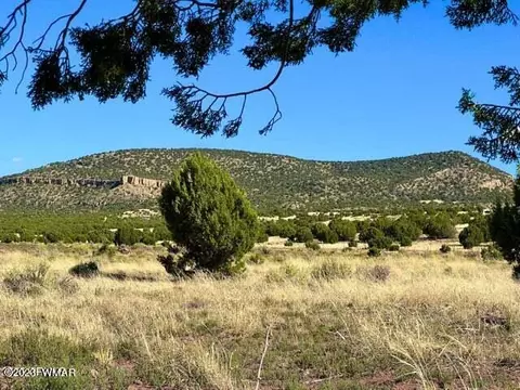 Pinon Valley Ranch Lot 16, Concho, AZ 85924