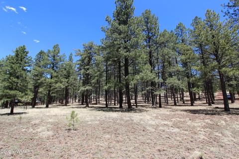 Tbd N1105, Greer, AZ 85927