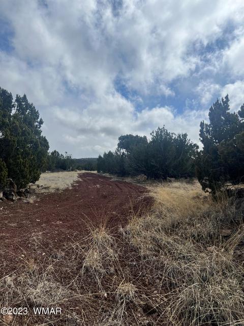 Tbd 107-43-010c, Concho, AZ 85924