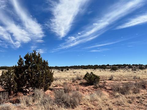 3645 Jordan Rd, Snowflake, AZ 85937