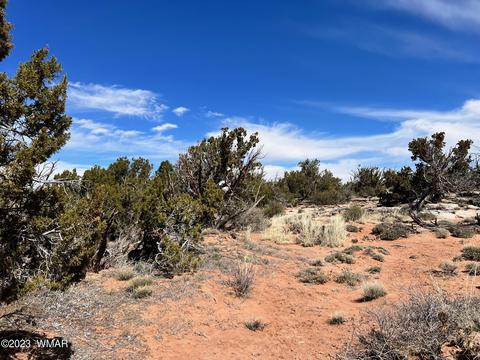 3695 Jordan Rd, Snowflake, AZ 85937 photo 3