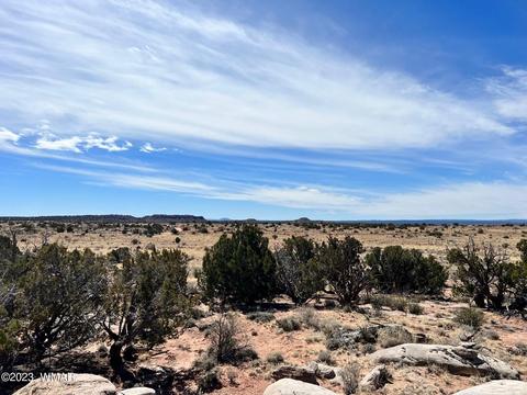 3695 Jordan Rd, Snowflake, AZ 85937 photo 6