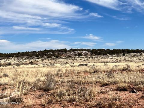 3695 Jordan Rd, Snowflake, AZ 85937 photo 9