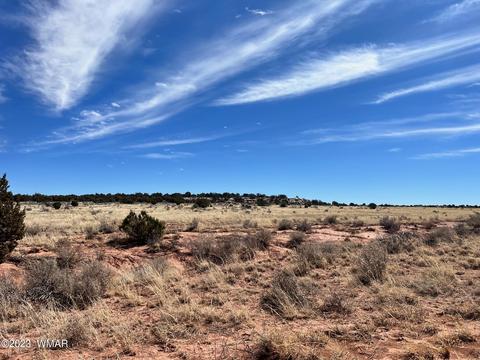 3695 Jordan Rd, Snowflake, AZ 85937 photo 8