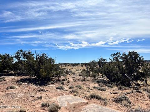3695 Jordan Rd, Snowflake, AZ 85937 photo 4