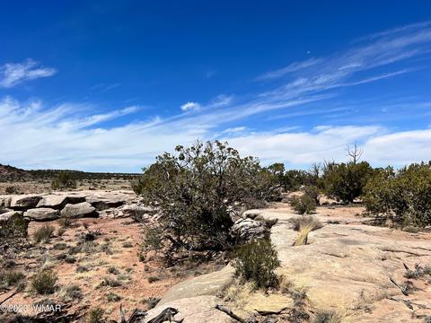 3695 Jordan Rd, Snowflake, AZ 85937 photo 7