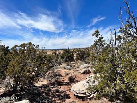3695 Jordan Rd, Snowflake, AZ 85937 photo 1