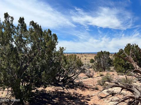 3695 Jordan Rd, Snowflake, AZ 85937 photo 5