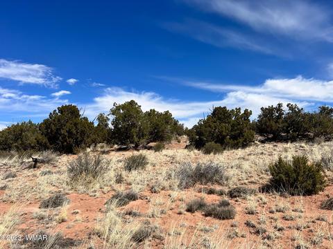 3695 Jordan Rd, Snowflake, AZ 85937 photo 2
