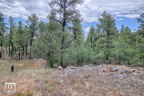 3640 Sage Ln, Show Low, AZ 85901
