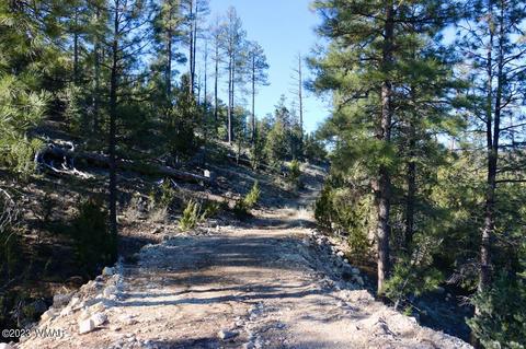 1737 Eskimo Ln, Heber, AZ 85928