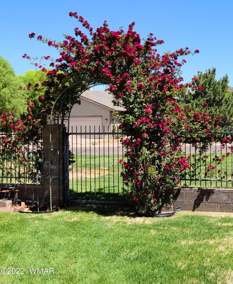 727 E Pebble Ln, Taylor, AZ 85939 photo 33