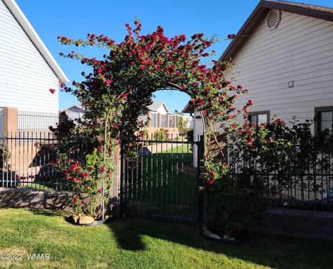 727 E Pebble Ln, Taylor, AZ 85939 photo 38