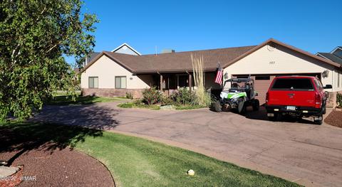 727 E Pebble Ln, Taylor, AZ 85939 photo 37