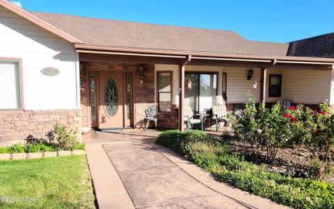 727 E Pebble Ln, Taylor, AZ 85939 photo 39