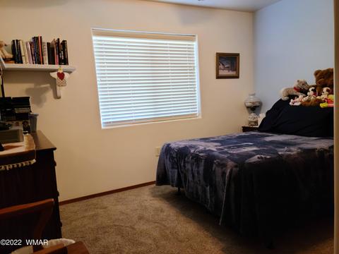 727 E Pebble Ln, Taylor, AZ 85939 photo 27