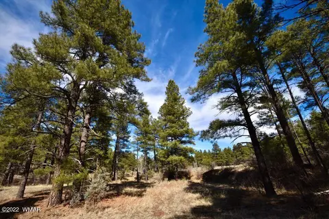 4701 W Mogollon Dr, Show Low, AZ 85901