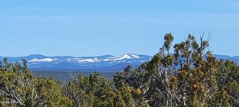 9287 Melody Ln, White Mountain Lake, AZ 85912