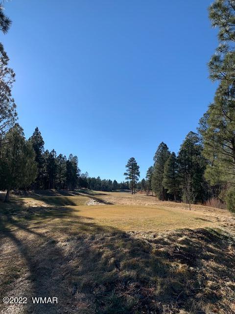 4201 W Wild Iris Ln, Show Low, AZ 85901