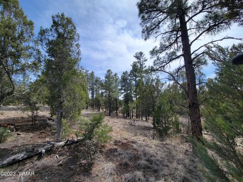 2701 N 43rd Ave, Show Low, AZ 85901