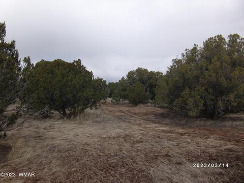 1862 Pronghorn Rd, Show Low, AZ 85901