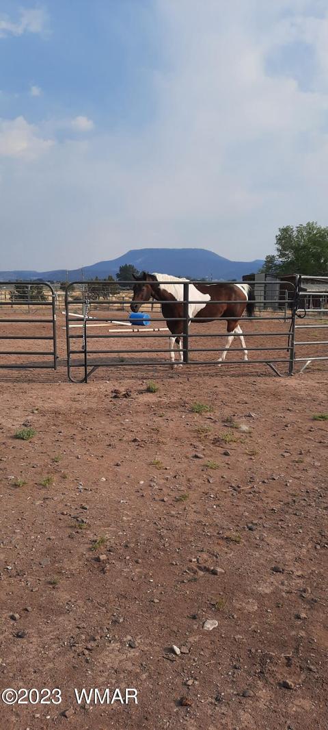 135 N A St, Springerville, AZ 85938 photo 12
