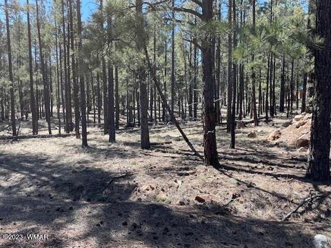 22 North St, Greer, AZ 85927