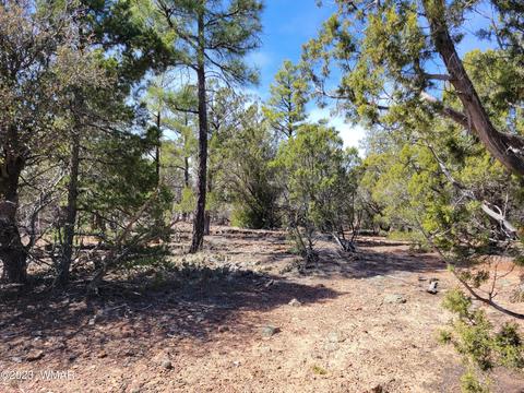 6993 Az-260, Show Low, AZ 85901