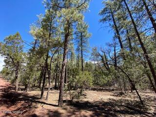 6203 Pond Dr, Lakeside, AZ 85929