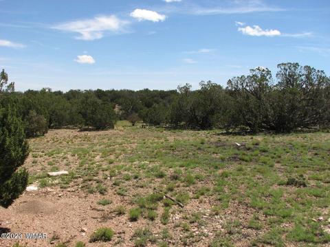 Sec 7 14n, Heber, AZ 85928