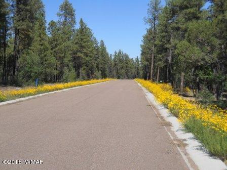 2394 S Aspen Run, Pinetop, AZ 85935