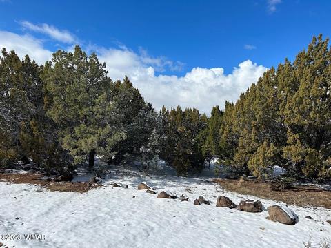 lot44 Uphill Trl, Vernon, AZ 85940