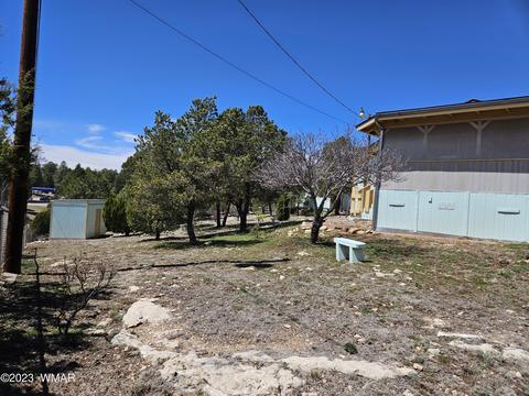3411 Top View Rd, Overgaard, AZ 85933 photo 7