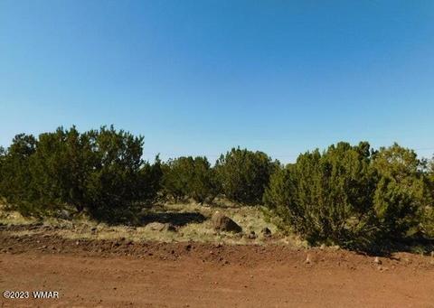 8548 Quail Run Dr, Show Low, AZ 85901