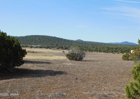 lot391 Wickieup Dr, Concho, AZ 85924