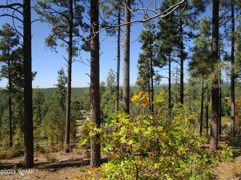 2175 Pine Wood Ln, Pinetop, AZ 85935