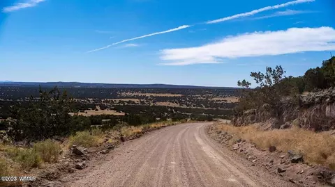 Elk Valley Ranch Lots 37 & 38, Saint Johns, AZ 85936