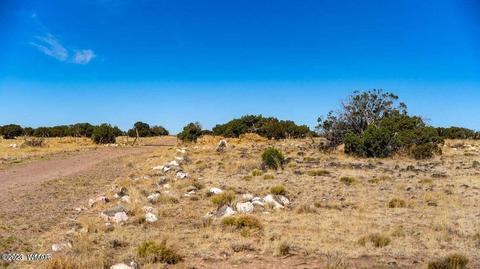 lot37 Elk Valley Rnch, Saint Johns, AZ 85936